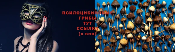 марки nbome Новозыбков