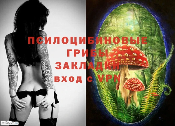 винт Новодвинск