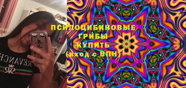 соль ск Новокубанск