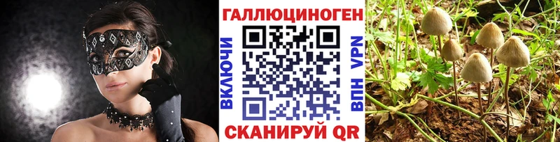 Галлюциногенные грибы Magic Shrooms Киржач